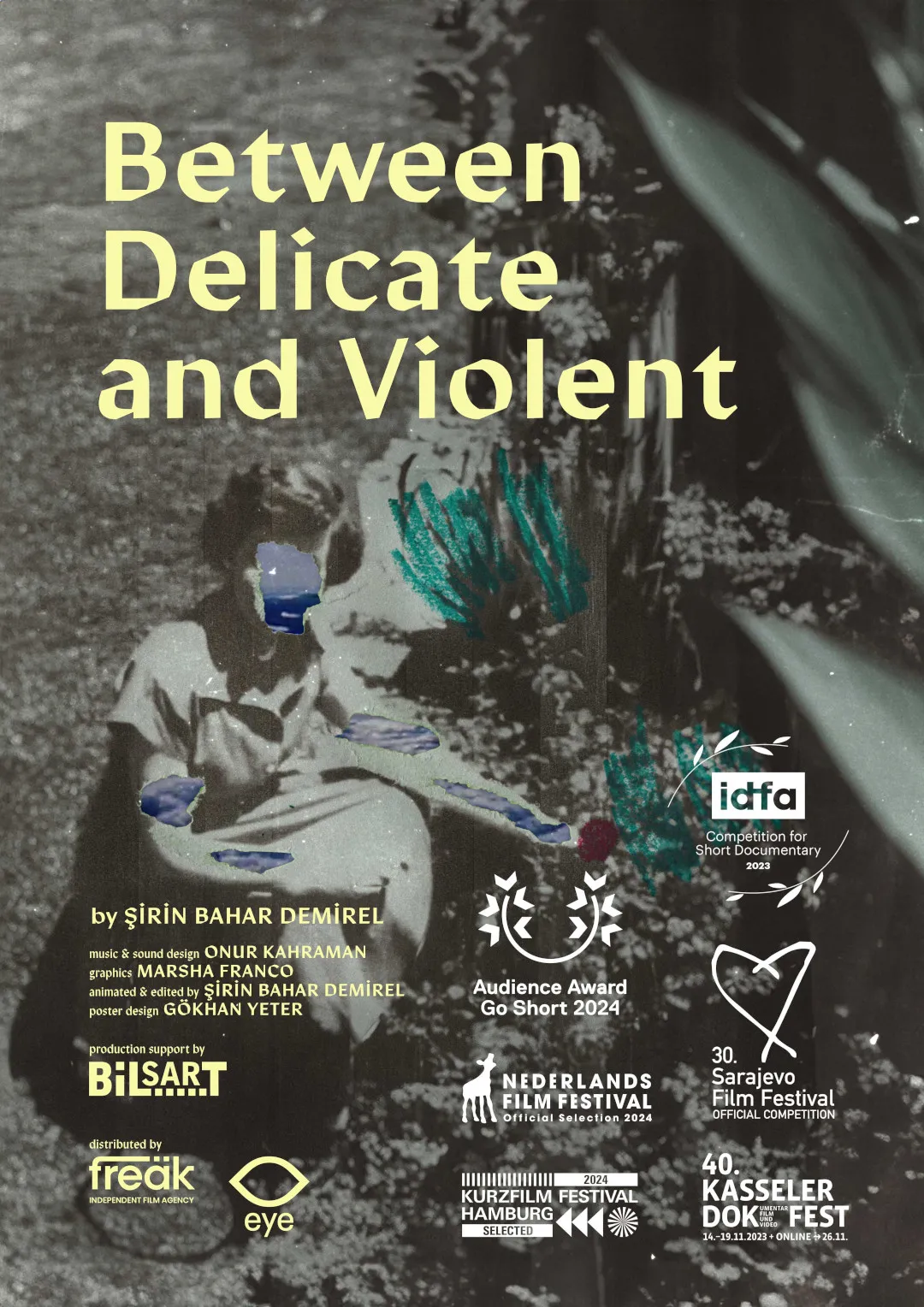 Between Delicate and Violent