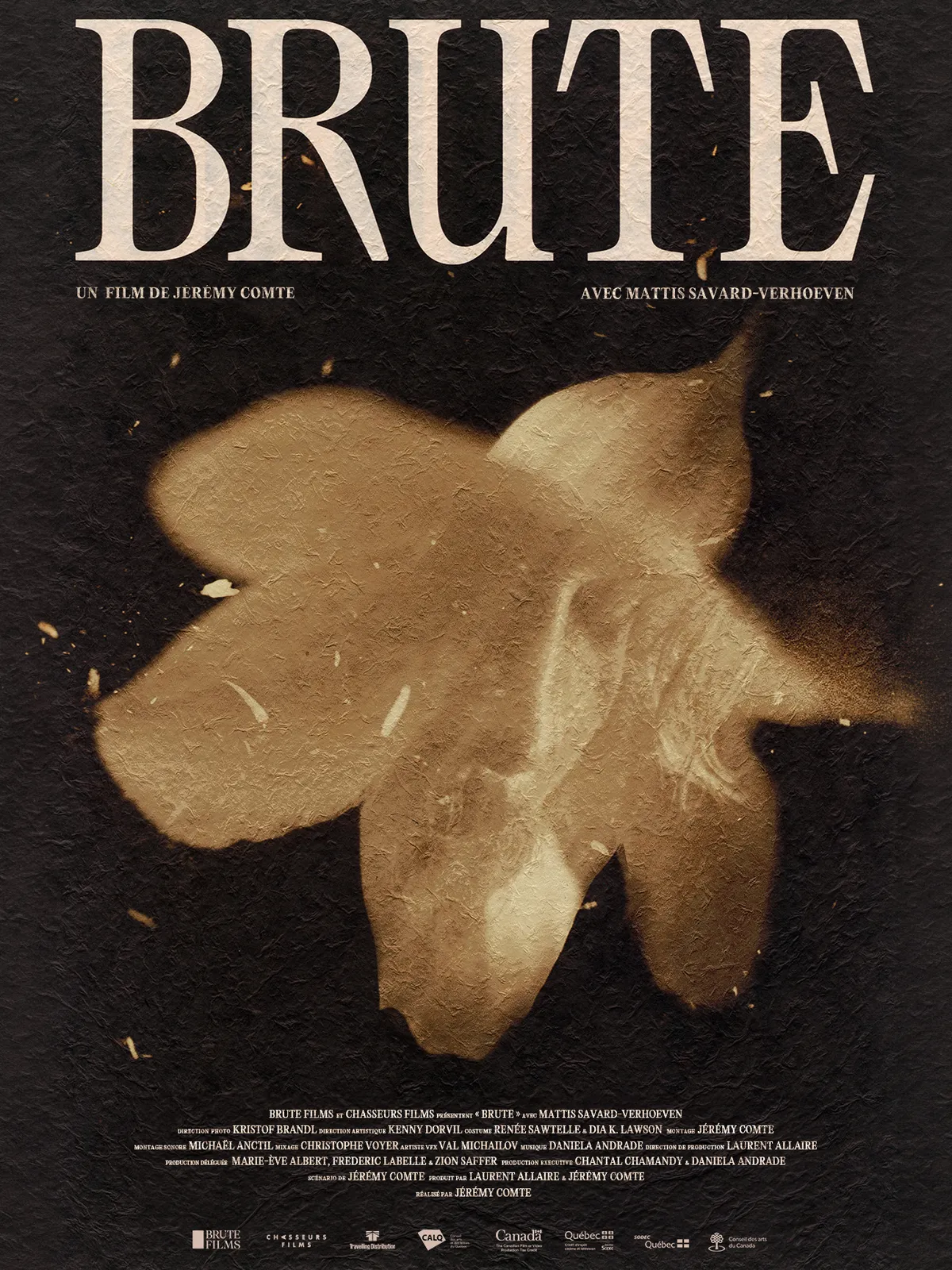 Brute