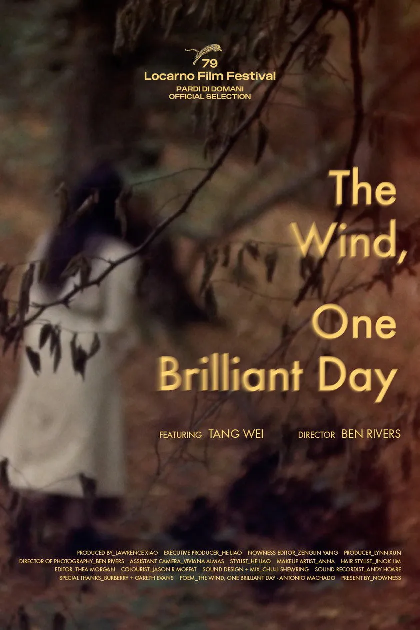 The Wind One Brilliant Day